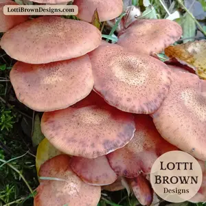 Autumn fungi for October