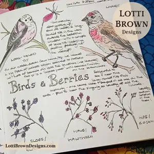 Birds and berries November nature journal page