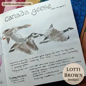 Canada geese nature journal page