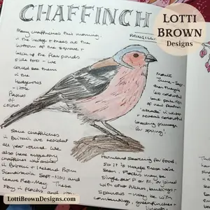 chaffinch nature journal page