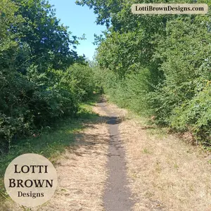 heatwave walk with dried grass