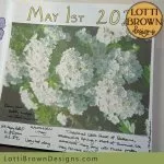 May Day nature journal page