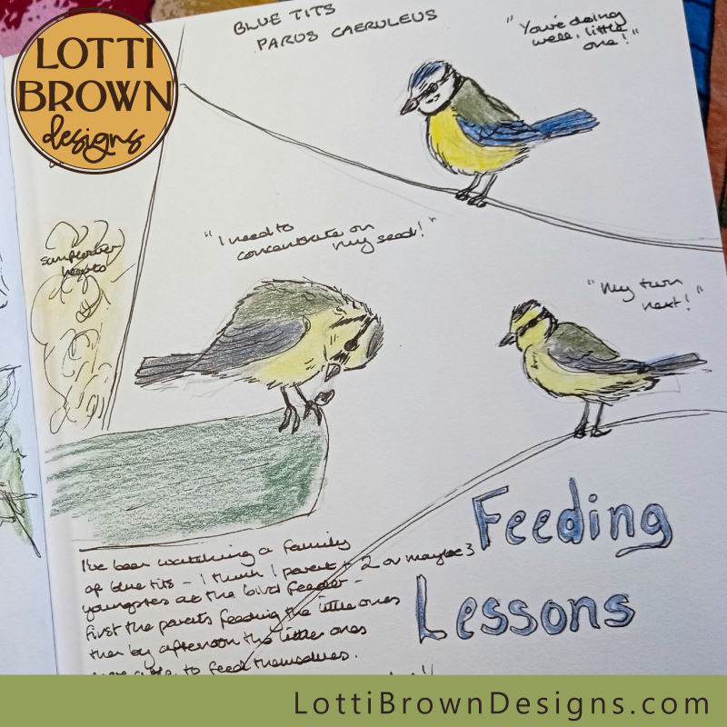 Blue tit feeding lesson nature journal page