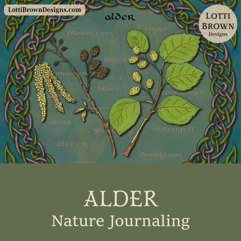 Alder nature journaling