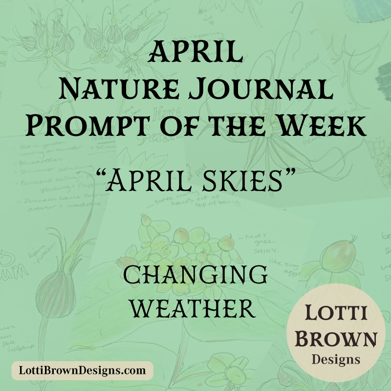 April nature journal prompt - April Skies