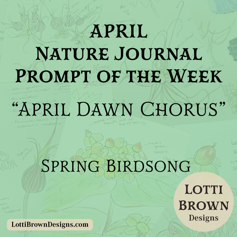 April nature journal weekly prompt - Dawn chorus