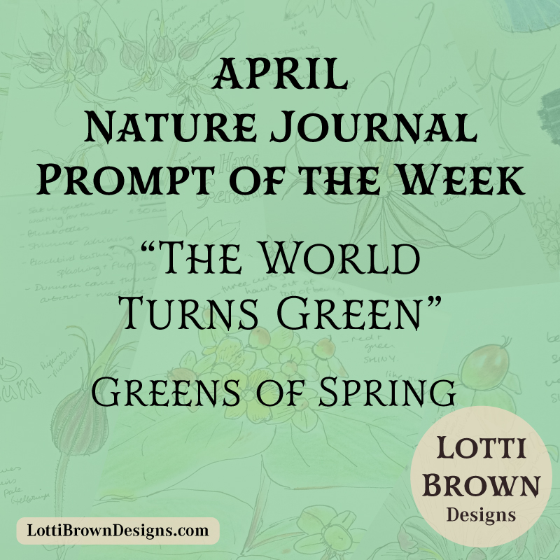 April weekly nature journal prompt - Spring Greens