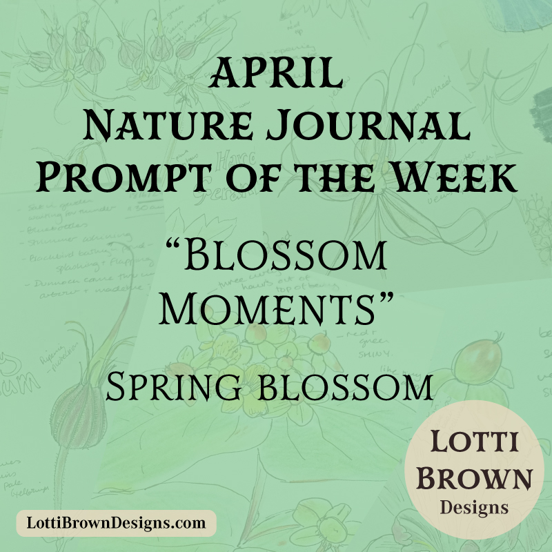 April nature journal weekly prompt - Blossom