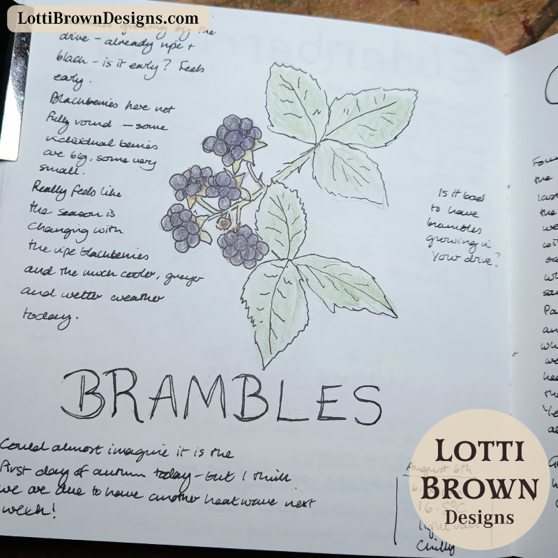 August brambles in my nature journal