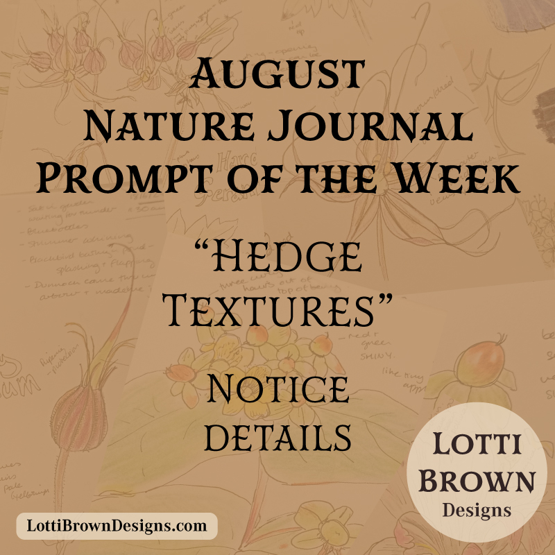 August nature journal - hedge textures