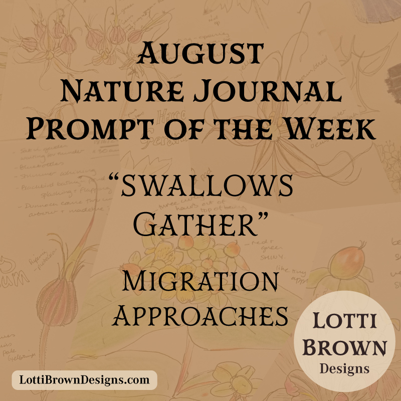 August nature journal weekly prompt - swallows gathering