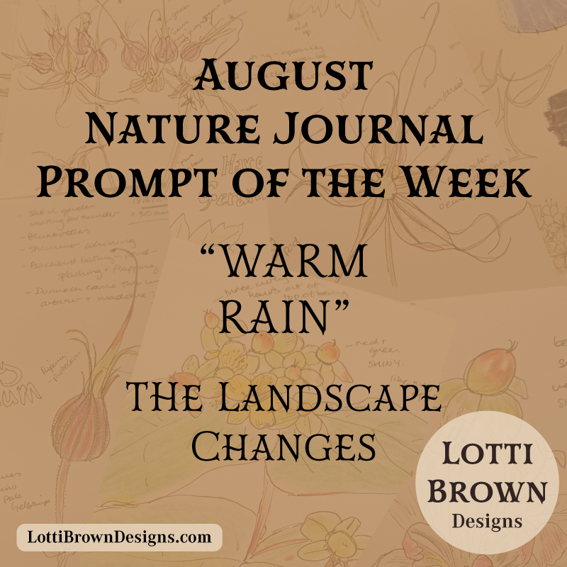 August nature journal weekly prompt - warm rain