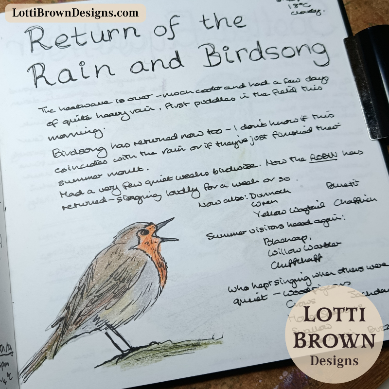 Return of rain and birdsong nature journal page