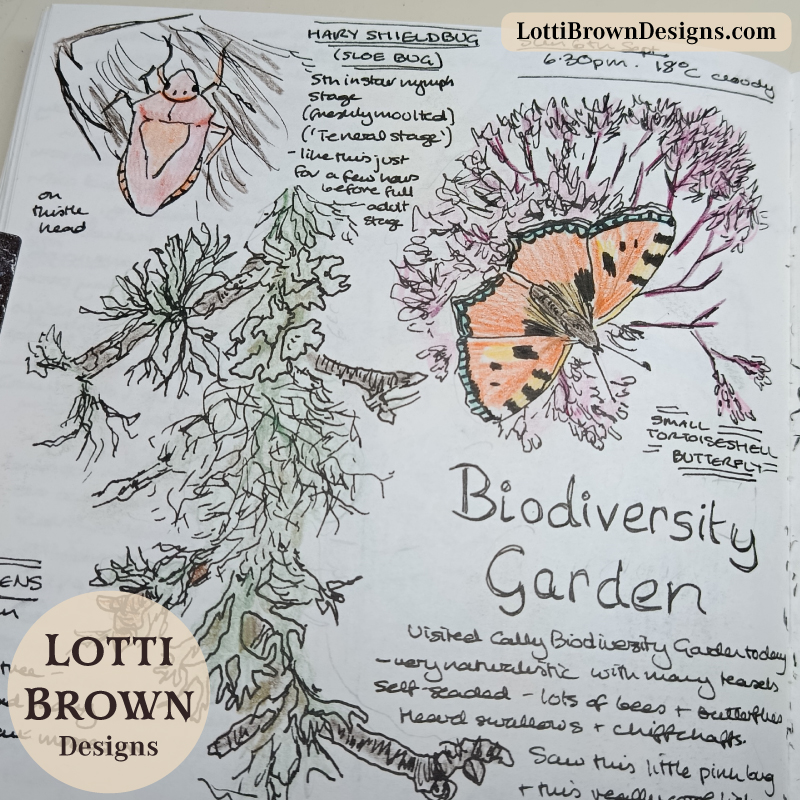 Nature journaling a biodiversity garden