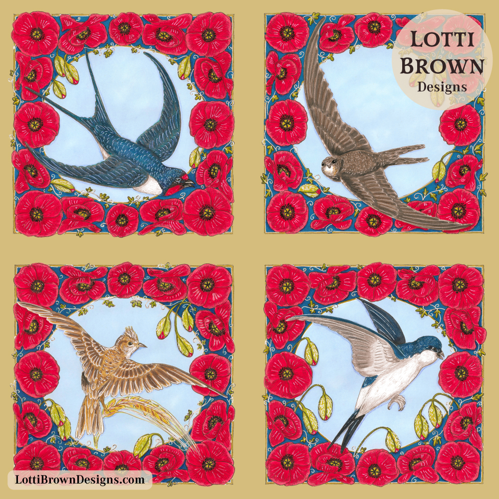 Birds of summer skies