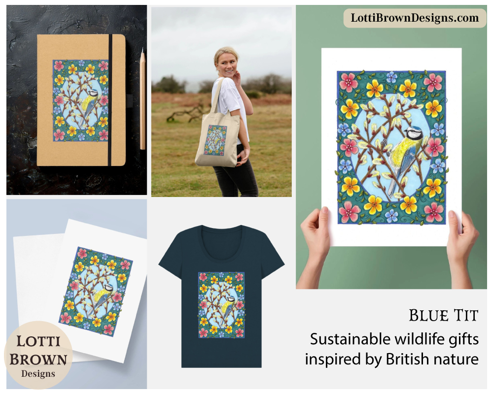 Blue tit art prints and sustainable products Blue tit art prints and products