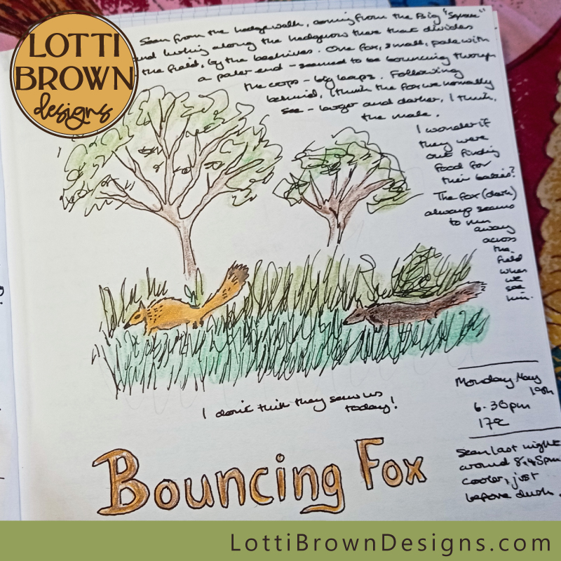 Bouncing fox nature journal page