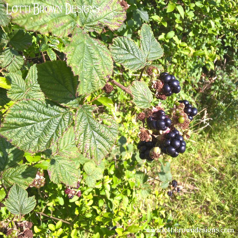 bramble berries