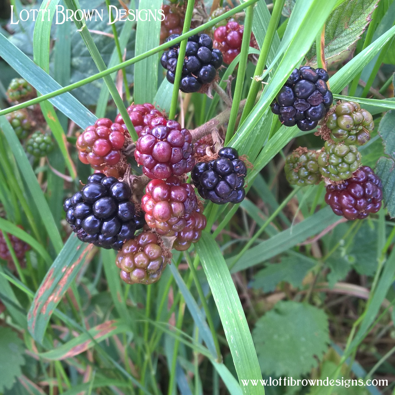 Bramble berries