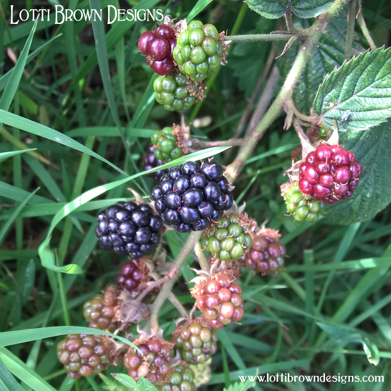 Bramble berries 10