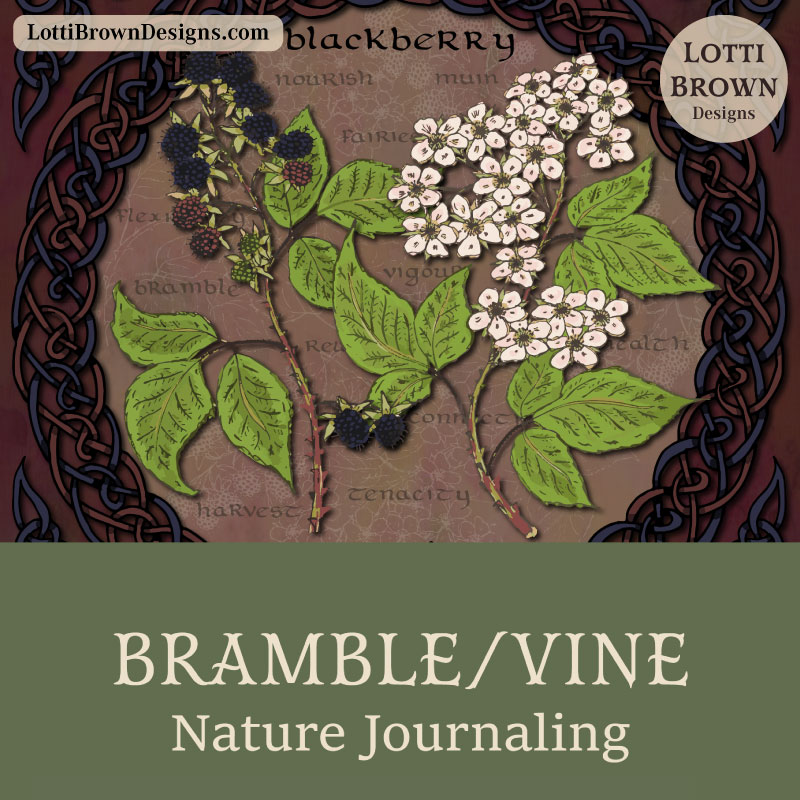 Bramble nature journaling