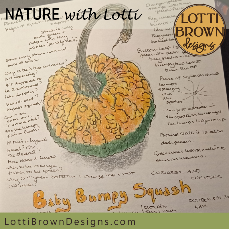 Bumpy squash nature journal page