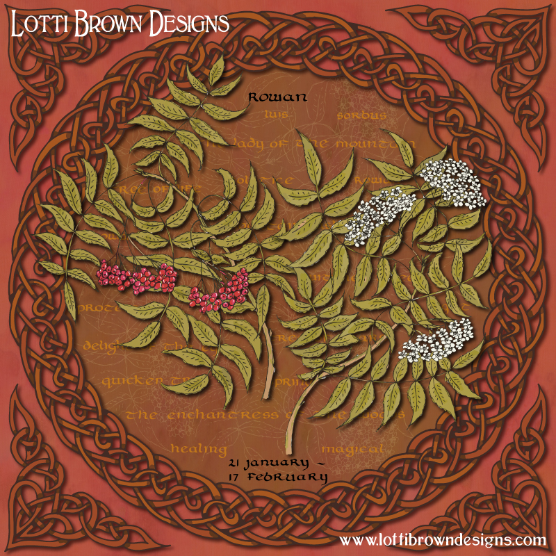 Celtic tree calendar art for the month of the rowan tree, 21st January to 17th February