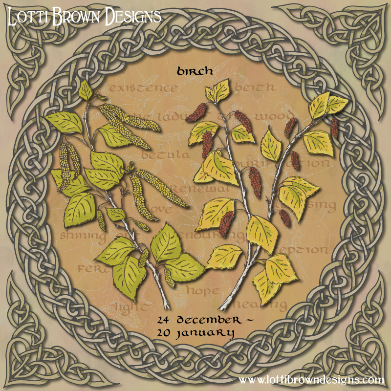 Celtic Tree Calendar art for the month of the Birch tree