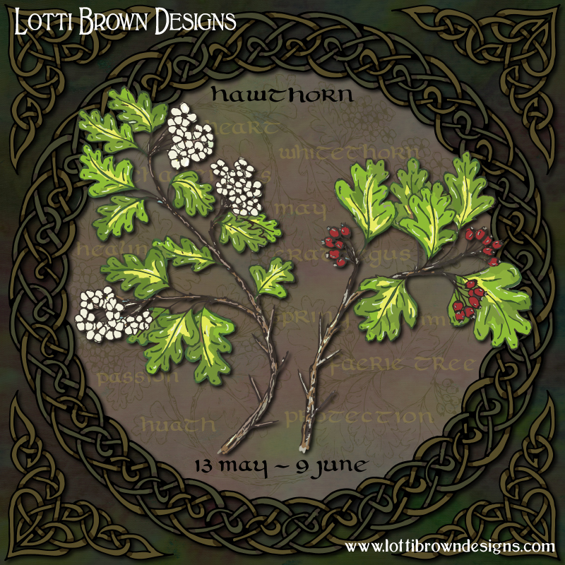 Celtic tree calendar art hawthorn
