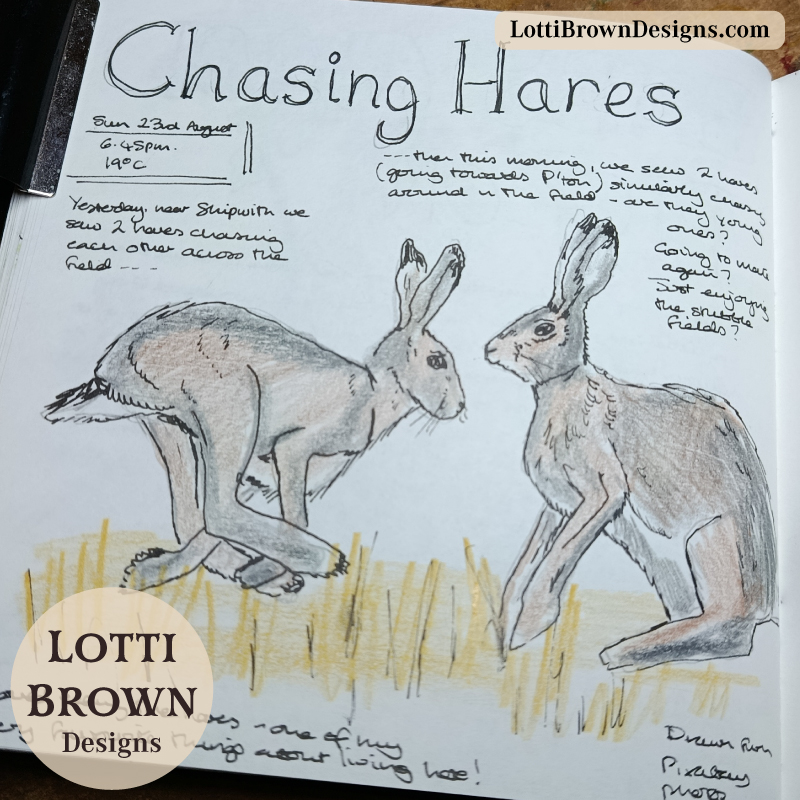 Chasing brown hares nature journal page