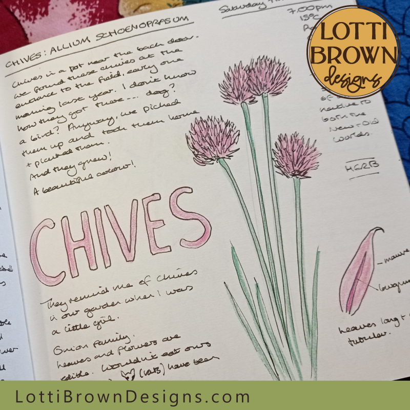 Chives nature journal page