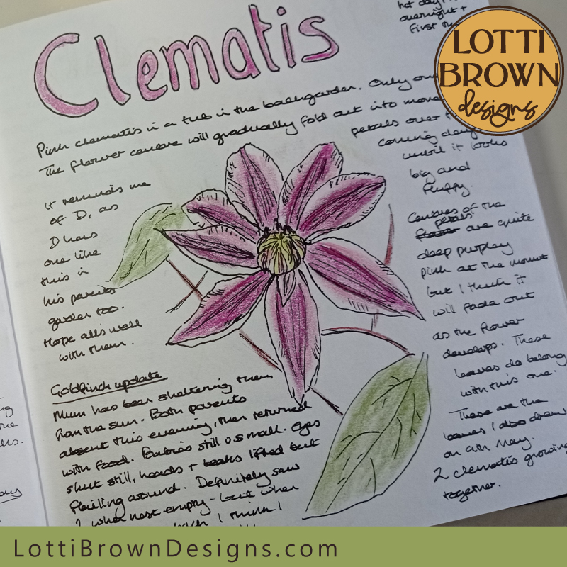 Clematis nature journal page