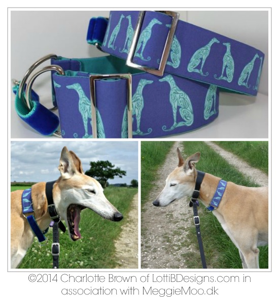 greyhound collar fabric