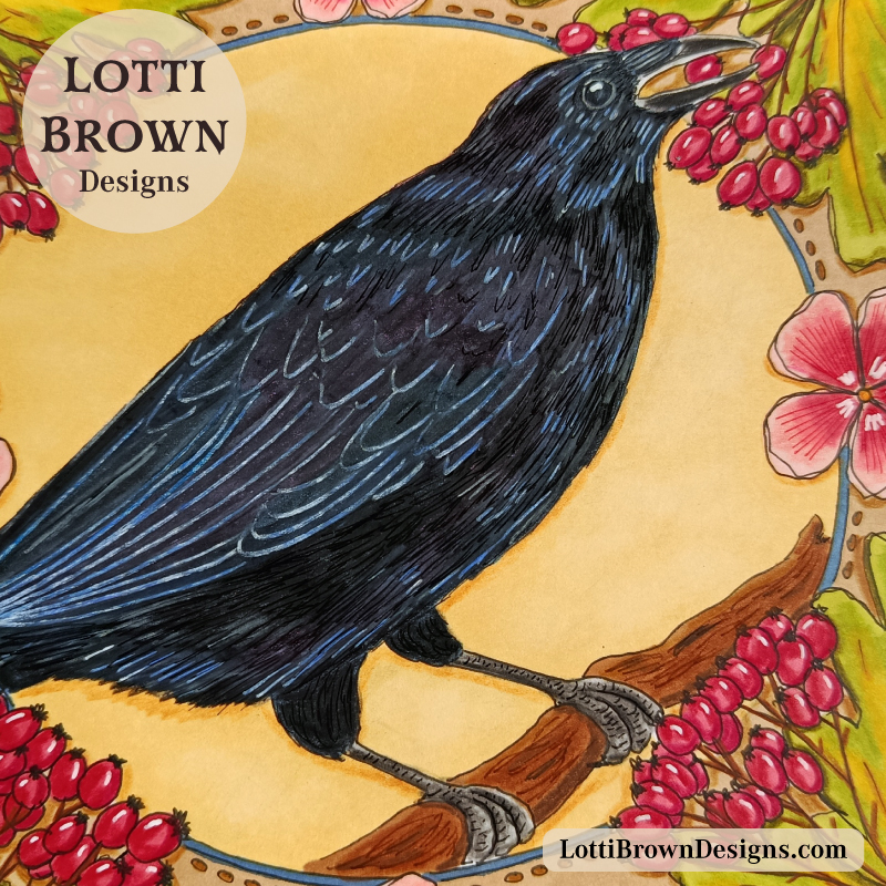 Crow drawing, close up