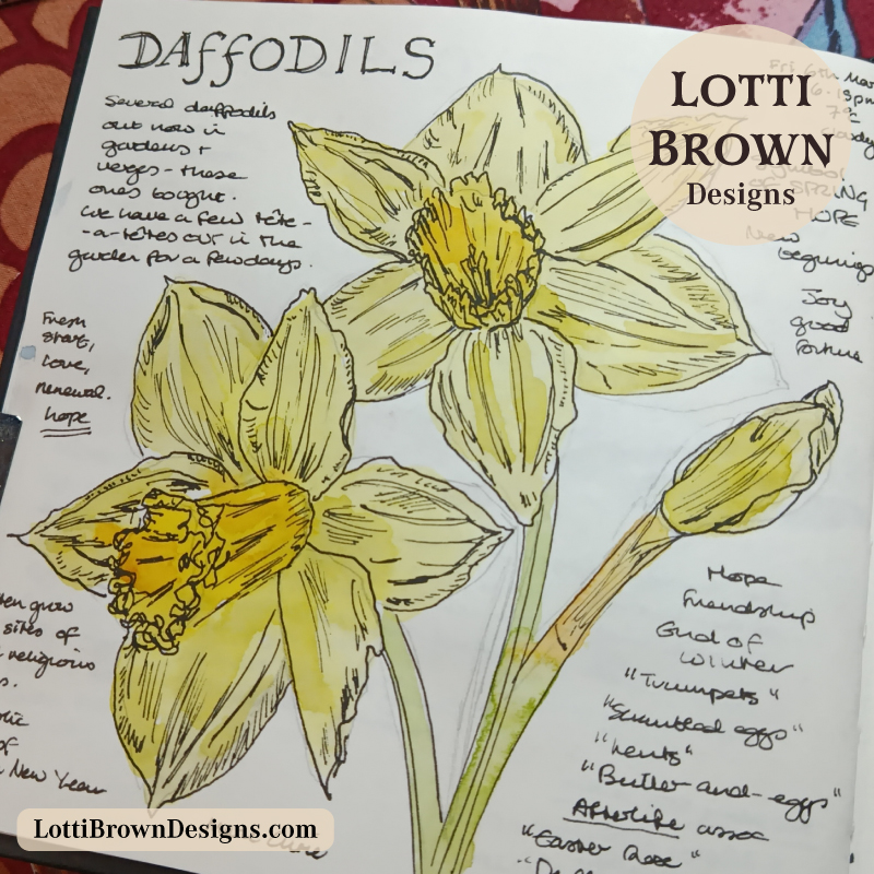 March daffodils in Britain