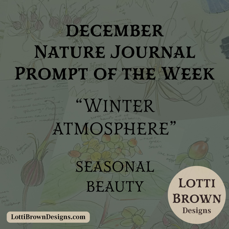 December nature journal weekly prompt - winter atmosphere