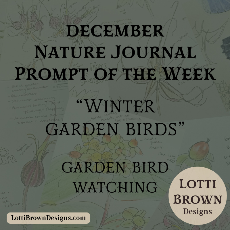 December nature journal weekly prompt - winter garden birds