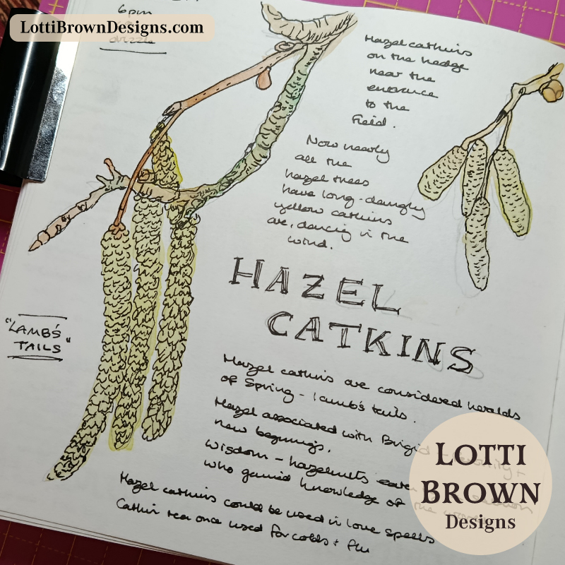 February nature journal page - Catkins - exploring the month of mud and milk
