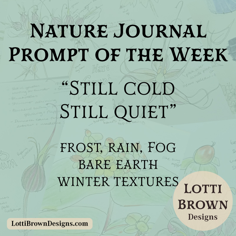 February nature journal prompt - still cold, still quiet