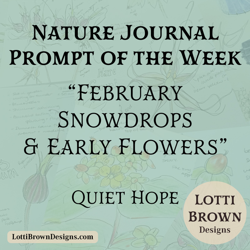 February nature journal prompt - early flowers and snowdrops