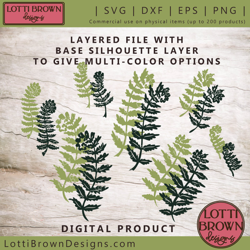 Ferns SVG bundle