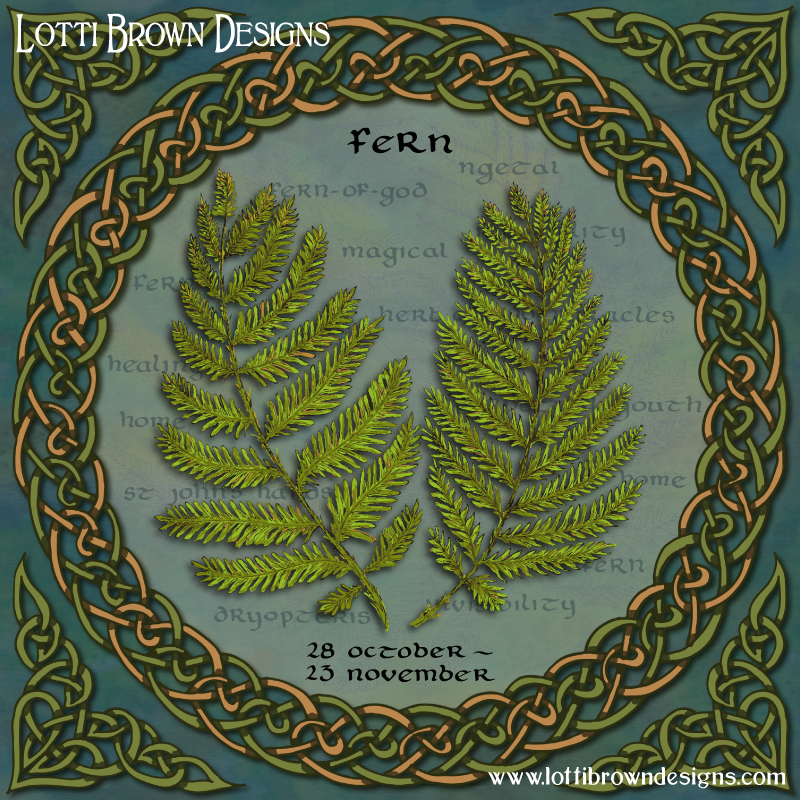 Ferns dated art