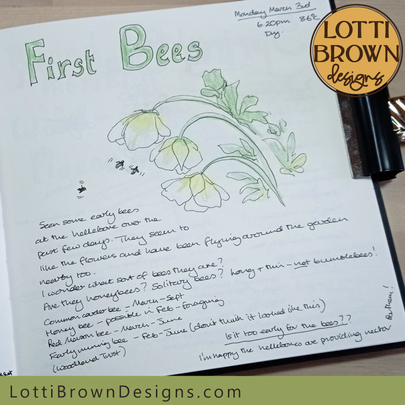 First bees in my nature journal