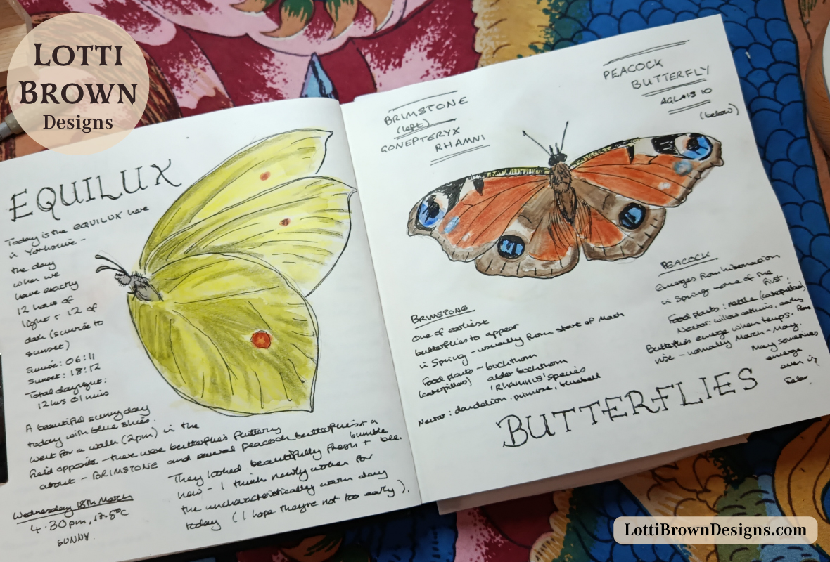 March Spring butterflies spotted on the Equilux in the North of England