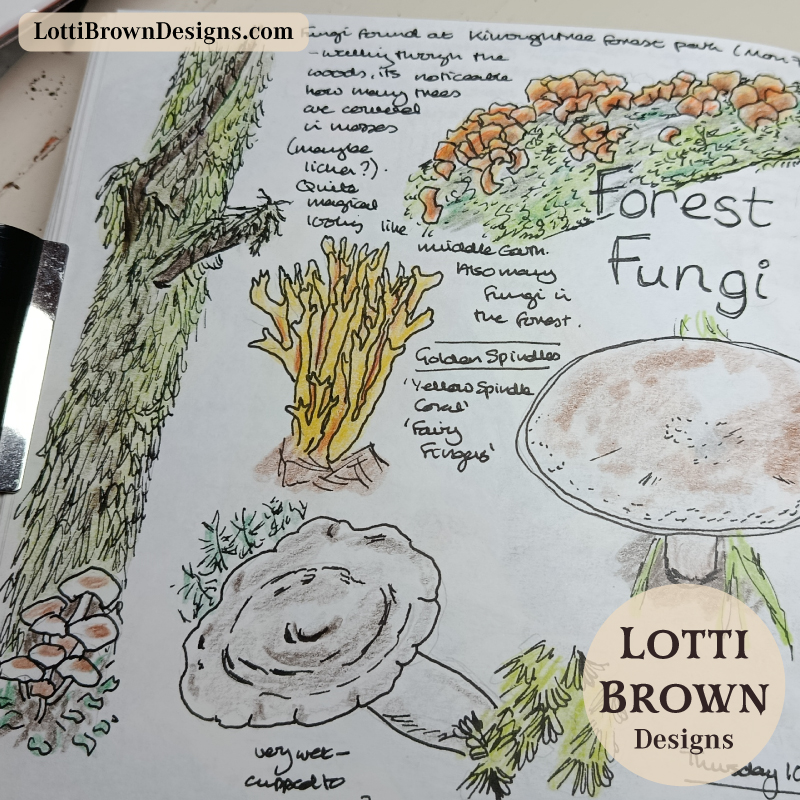 Nature journaling forest fungi