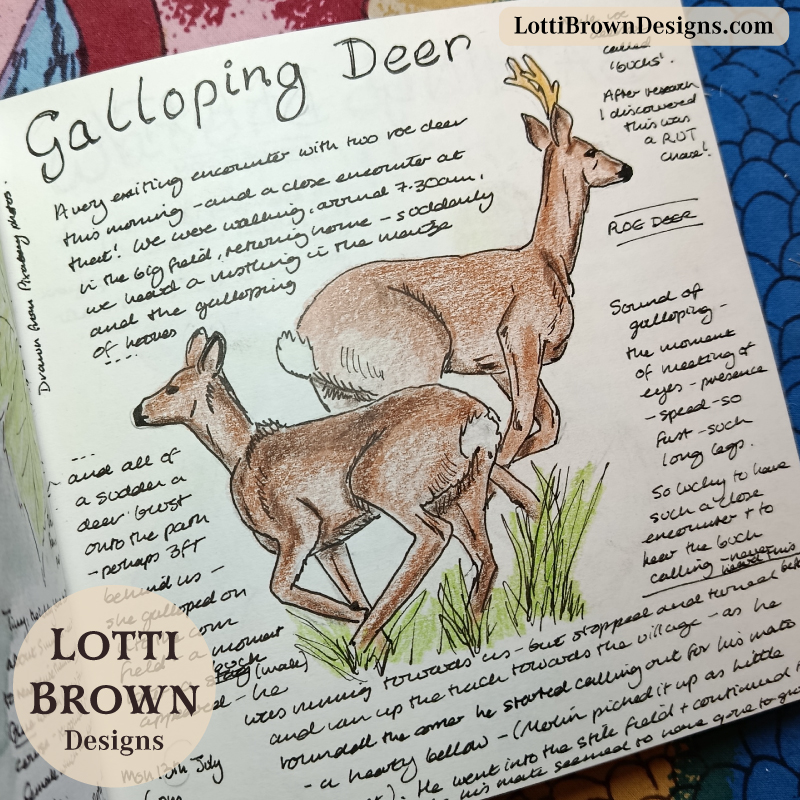 galloping deer nature journal page