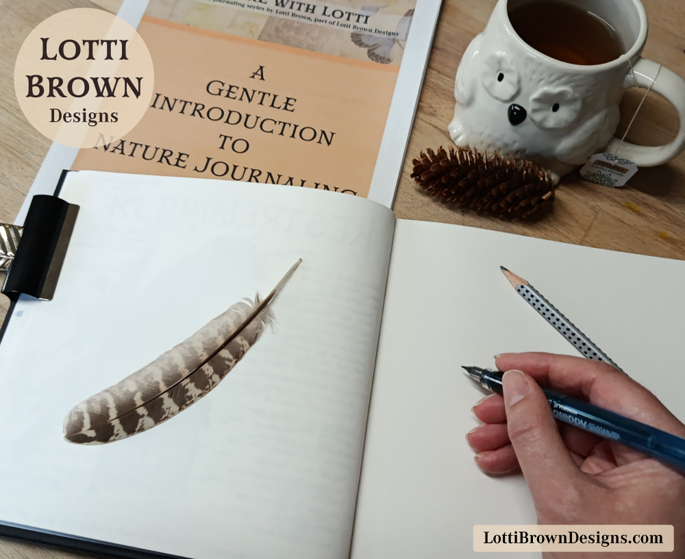 Introductory guide to nature journaling