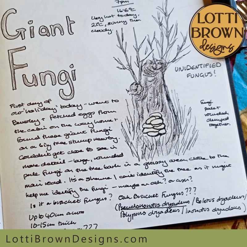 Giant fungi nature journal page