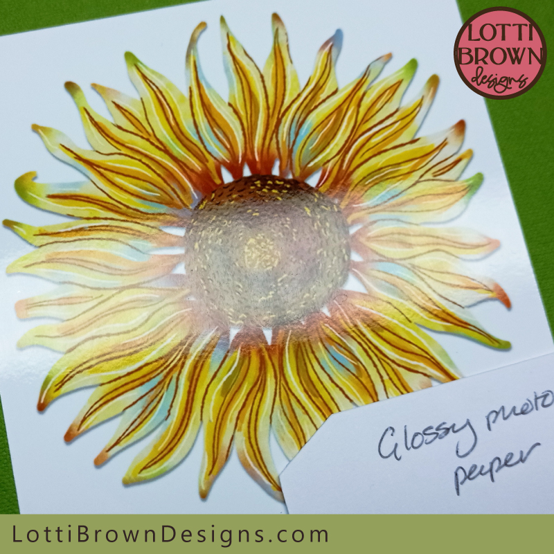 Sunflower artwork on glossy photo paper print then cut test