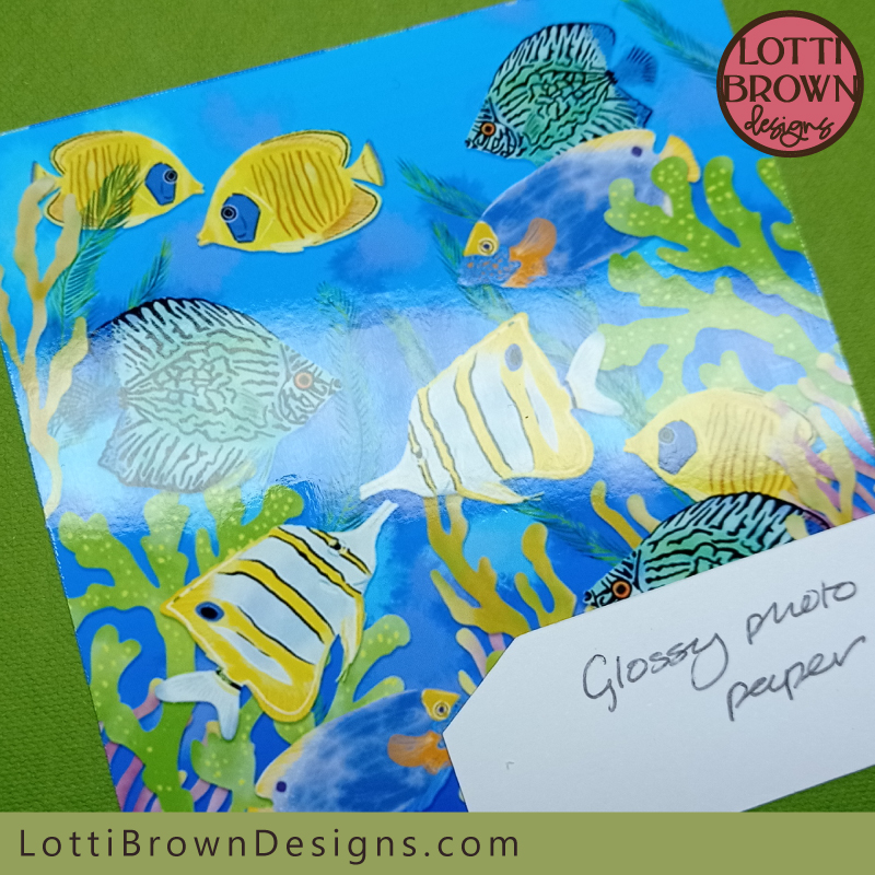 Tropical fish glossy photo paper close up